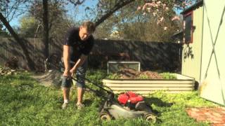 Process Documentary  Mowing the Lawn [upl. by Erehc154]