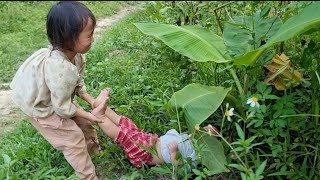 landslide tree fell near the house sister picked fruit to sell bodonthan123 [upl. by Anreval]