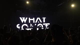 What So Not  Live  Brownies amp Lemonade Miami 2019 Full Set [upl. by Yerhpmuh]