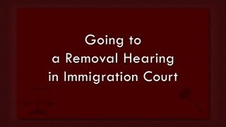 Going to a Removal Hearing in Immigration Court [upl. by Sondra]