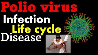 Polio virus life cycle explained [upl. by Arhez]