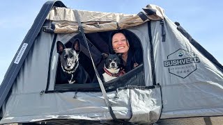 SHOULD YOU BUY A OVERLAND VEHICLE SYSTEMS Bushveld II Hard Shell Roof Top Tent REVIEW [upl. by Blackmun700]