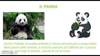 Animali estinti ed in via di estinzione Scuola primaria Maestra Mina R [upl. by Gwenore]