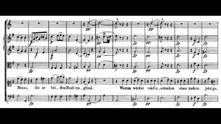 Mozart  Bastien und Bastienne 5  Aria Wenn mein Bastien einst im Scherze [upl. by Nomzaj288]