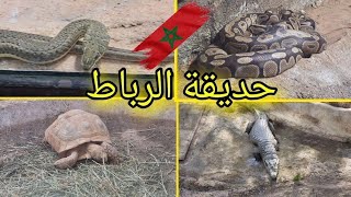 دخول حديقة الحيوان الرباط اكتشاف افاعي تماسيح المخيفة zoo rabat [upl. by Edyaw]