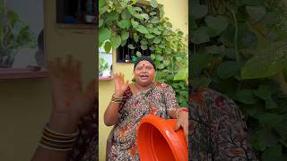 Bhrama kamalam petedam youtubeshorts garden shorts planting [upl. by Strauss]