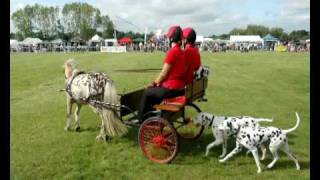 Carriage Dogs [upl. by Eecak]