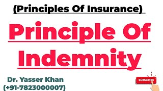 Principles Of Insurance  Principle Of Indemnity  Insurance [upl. by Doretta124]