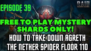 Episode 39 How To Take Down Nether Spider Floor 110 Normal [upl. by Fabriane820]