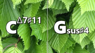 Cmaj711 to Gsus 4 Backing Track [upl. by Aelsel]