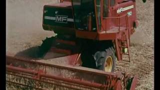 Massey Ferguson combines [upl. by Jehu]