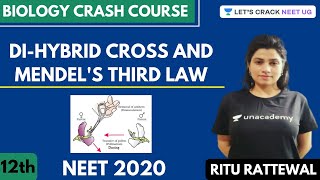 DiHybrid Cross and Mendels Third Law  Biology Crash Course  Class 12th  NEET Biology [upl. by Ellehsyt844]