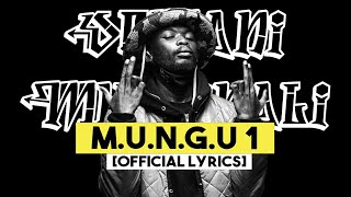 Domani Munga  Mungu 1Official Lyric Video [upl. by Eelyahs]