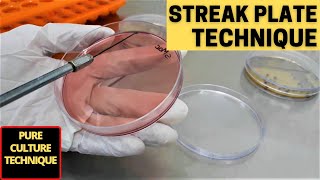 Streak Plate Technique for The Isolation of Pure CultureA Complete Procedure Microbiology [upl. by Geithner462]