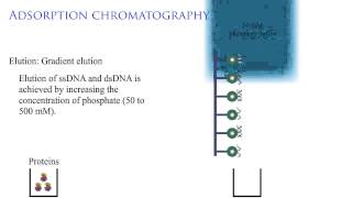 Adsorption chromatography 2 [upl. by Bert]