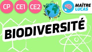 La biodiversité CE2  CE1  CP  Cycle 2  Questionner le monde  Le monde du vivant [upl. by Zoldi970]