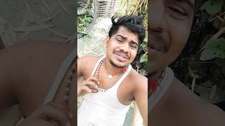 कहिये बाबु सोना बाबु दिल तोड़ डेली ने trendingshorts bhojpuri ashishyadavnewsongviral [upl. by Chandal]