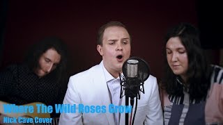 LIVE Where The Wild Roses Grow  Contralto and Countertenor Acoustic Cover [upl. by Eniamraj]