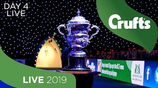 Day 4 LIVE  Crufts 2019 [upl. by Kelwen774]