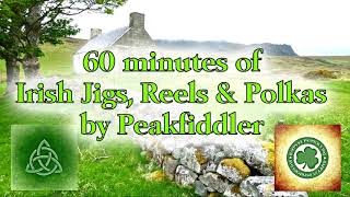 60 minutes Irish Jigs Reels amp Polkas [upl. by Cerell]