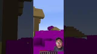 minecraft minecrafthacks minecraftmemes minecrafttutorial minecraftpe minecrafttapi [upl. by Antin605]