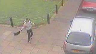 Cat owner devastated by CCTV of pet being swung round by its tail [upl. by Yuhas469]