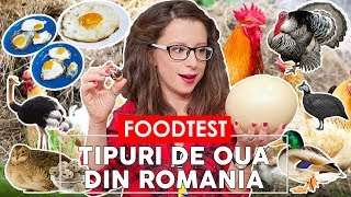 🥚 FOOD TEST OUA  Bibilica Strut Curca Gasca Rata Prepelita si Gaina [upl. by Daeriam]