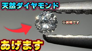 【 マイクラ参加型 バトロア 】 再抽選💎02万人突破感謝宝石プレゼントマイクラ配信 Vtuber shorts マインクラフト 参加型 [upl. by Alesi]