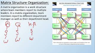 Matrix Structure Organization Types Of Organizational structure [upl. by Nerek999]