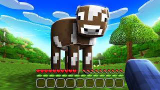 Ich teste DUMME Minecraft MODS [upl. by Eanerb]