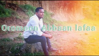 Remix Geerarsa Damisee Bantii Afaan Oromoo music 2024 [upl. by Frechette]