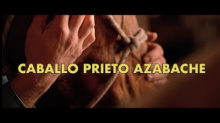 Antonio Aguilar  Caballo Prieto Azabache Visualizador Oficial [upl. by Eelrihs506]