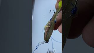 JIG HEADS  SOFT BAIT shortvideo fishingtutorial fishingtips fishingbait [upl. by Nicoline]