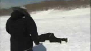 News Reporter Gets Hit By Sled [upl. by Itsrik777]