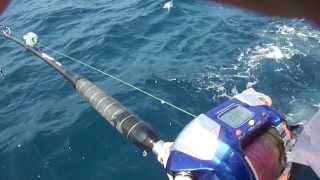 Shimano Beast Master 4000 vs Andaman grouper 178kg [upl. by Henson]