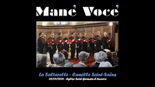 Mane Voce  La Saltarelle  Camille SaintSaÃ«ns [upl. by Einnep]