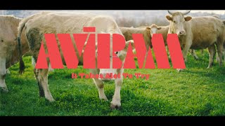 Aviram  It Takes A lot to Try official video [upl. by Andree826]