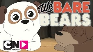 We Bare Bears  Pet Shop  Cartoon Network [upl. by Arat]