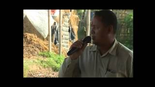 Nepal Today Episode 111 Story of Bee farming in Ktm and Sarlahi [upl. by Eeryn]