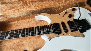 Ibanez RG350dx 2010 [upl. by Senior]