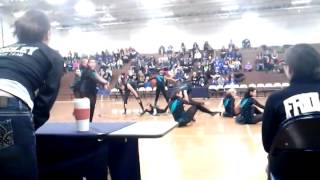 Fridley dance team 2014 Jazz [upl. by Sixele]