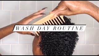 Wash Day Routine  3c Short Curly Hair [upl. by Aneet]