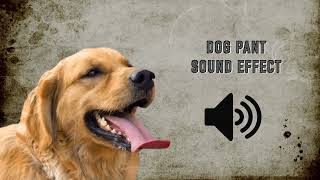 Dog Pant Sound Effect  High Quality [upl. by Eelame526]