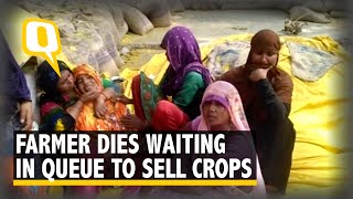 Amethi Farmer Dies Waiting in Queue to Sell His Harvest [upl. by Anya302]