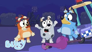 Season 1 Full Episodes  Bluey [upl. by Hasen]