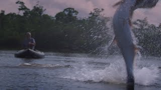 Pesca de gigantes  River Monsters  Discovery Latinoamérica [upl. by Guthry]