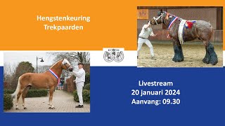 Hengstenkeuring Trekpaarden 2024 [upl. by Retsae]