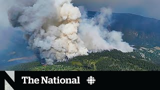 Thousands on evacuation notice in BC as dangerous wildfires grow [upl. by Herrmann]