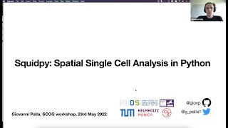 Workshop quotSpatial transcriptomics data analysis in Pythonquot  11 squidpy [upl. by Lyrehc]