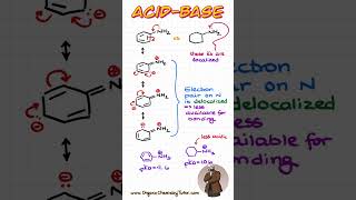 What is MORE basic Aniline vs a simple Amine chemistry organicchemistry [upl. by Lester]